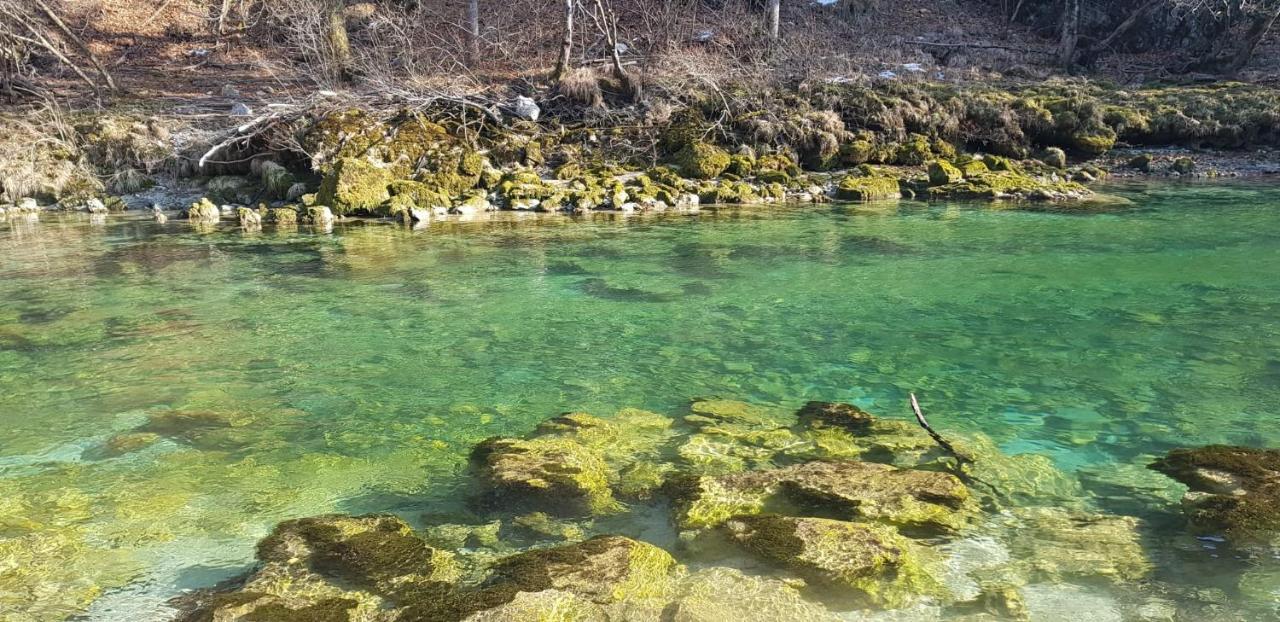 Ingreen House Bohinjska Bela Kültér fotó