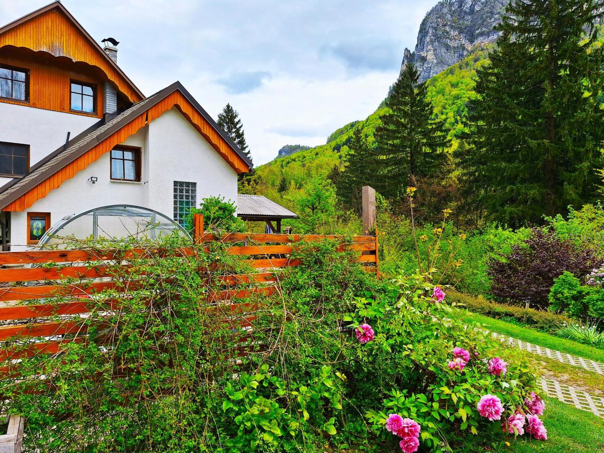 Ingreen House Bohinjska Bela Kültér fotó