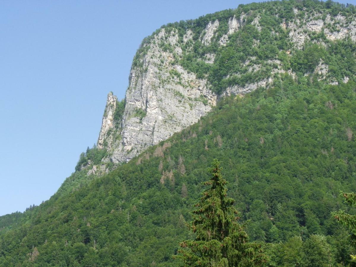 Ingreen House Bohinjska Bela Kültér fotó