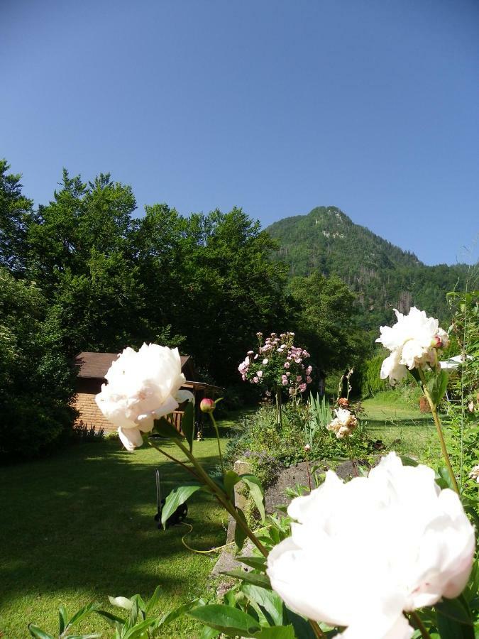 Ingreen House Bohinjska Bela Kültér fotó